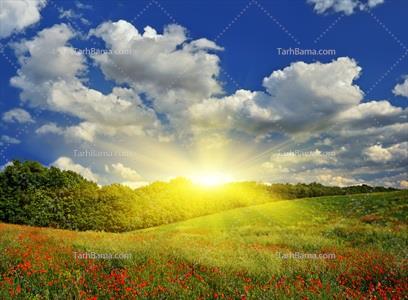 تصویر با کیفیت منظره و گل